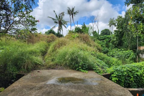 Land in Tumbak Bayuh, Mengwi, Badung, Indonesia No. 11205 2