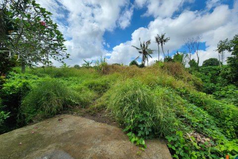 Land in Tumbak Bayuh, Mengwi, Badung, Indonesia No. 11205 3