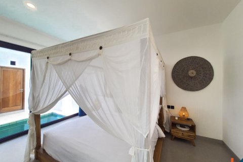 2 bedrooms Villa in Tumbak Bayuh, Mengwi, Badung, Indonesia No. 10164 14