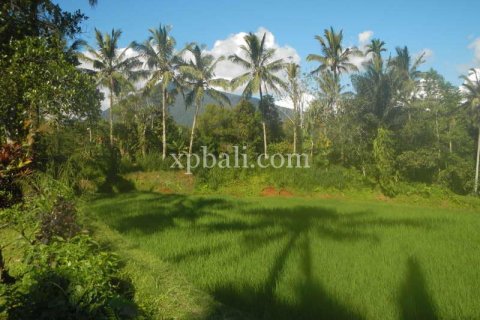 7450m2 Land in Tabanan, Indonesia No. 420