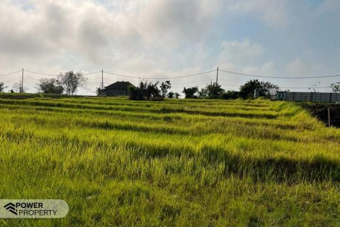 600m2 Land in Tabanan, Indonesia No. 7121 2
