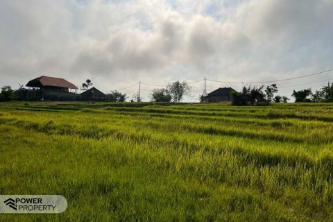 600m2 Land in Tabanan, Indonesia No. 7121 5