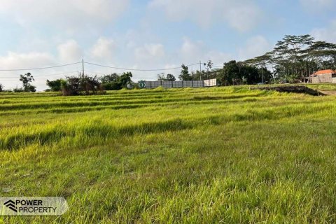 600m2 Land in Tabanan, Indonesia No. 7121 4
