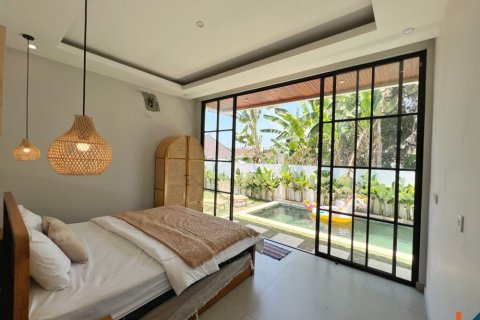 2 bedrooms Villa in Munggu, Mengwi, Badung, Indonesia No. 11449 4