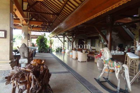 Вилла с 32 спальнями в Gianyar, Гианьяр, Индонезия № 453 12