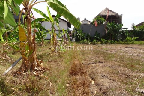 1800m2 Land in Seminyak, Badung, Indonesia No. 510 2