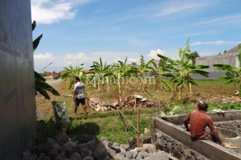 1800m2 Land in Seminyak, Badung, Indonesia No. 510 9