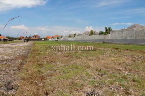 1800m2 Land in Seminyak, Badung, Indonesia No. 510 7