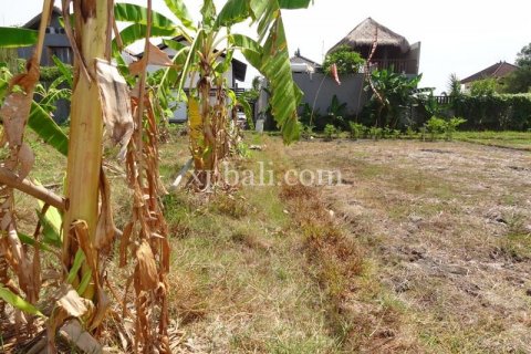1800m2 Land in Seminyak, Badung, Indonesia No. 510 4