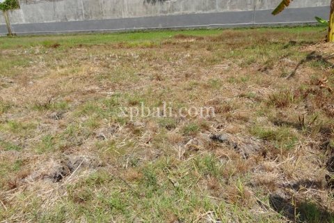 1800m2 Land in Seminyak, Badung, Indonesia No. 510 3