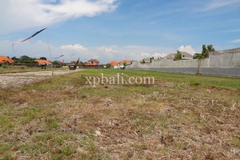 1800m2 Land in Seminyak, Badung, Indonesia No. 510 5