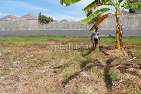 1800m2 Land in Seminyak, Badung, Indonesia No. 510 6