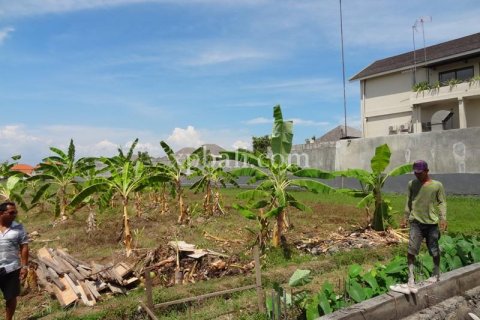 1800m2 Land in Seminyak, Badung, Indonesia No. 510 8