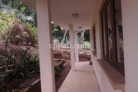 2170m2 Land in Ubud, Gianyar, Indonesia No. 509