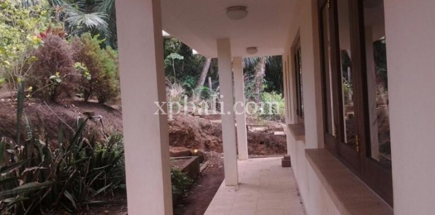 2170m2 Land in Ubud, Gianyar, Indonesia No. 509