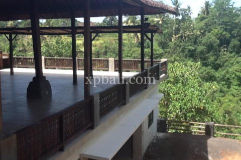 2170m2 Land in Ubud, Gianyar, Indonesia No. 509 7