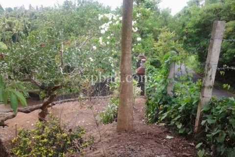 2170m2 Land in Ubud, Gianyar, Indonesia No. 509 6