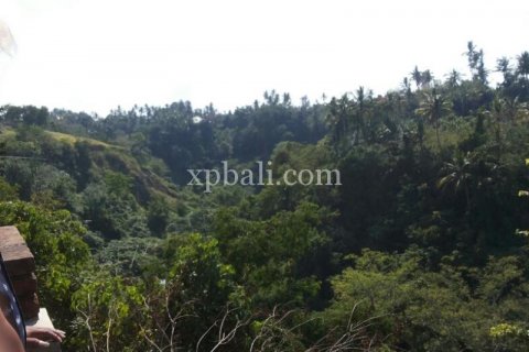 2170m2 Land in Ubud, Gianyar, Indonesia No. 509 2