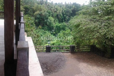 2170m2 Land in Ubud, Gianyar, Indonesia No. 509 9