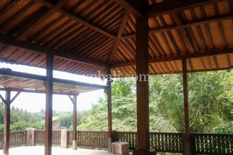 2170m2 Land in Ubud, Gianyar, Indonesia No. 509 5