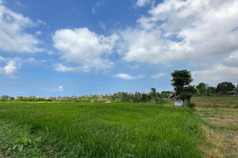 Land in Canggu, Badung, Indonesia No. 11411 2