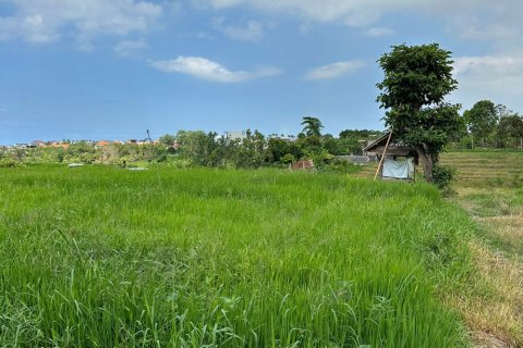 Land in Canggu, Badung, Indonesia No. 11411