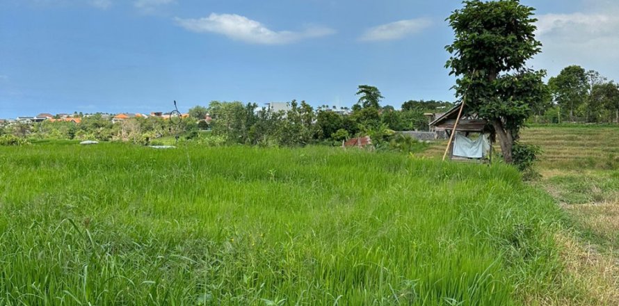 Land in Canggu, Badung, Indonesia No. 11411