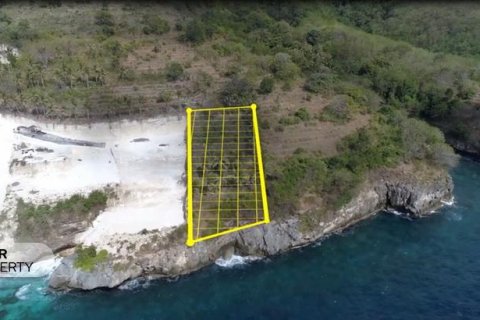 1725m2 Land in Nusa Penida, Klungkung, Indonesia No. 9160 2