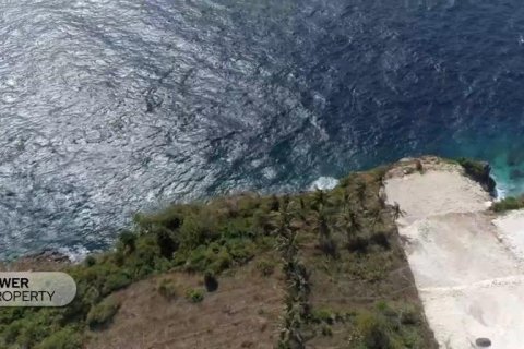 1725m2 Land in Nusa Penida, Klungkung, Indonesia No. 9160 3
