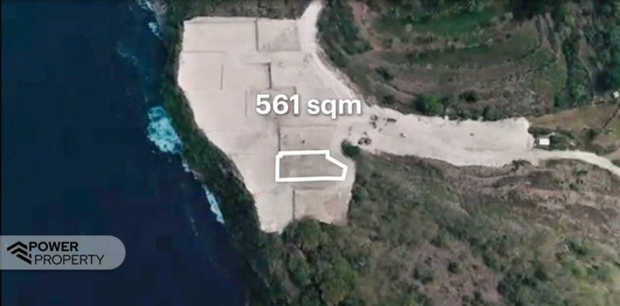 Земельный участок 561м2 в Nusa Penida, Клунгкунг, Индонезия № 9162