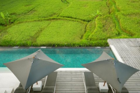 4 bedrooms Villa in Ubud, Gianyar, Indonesia No. 913 3