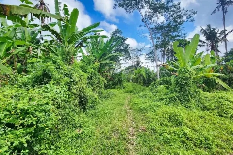 Land in Ubud, Gianyar, Indonesia No. 10852 3