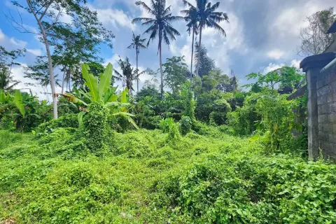 Land in Ubud, Gianyar, Indonesia No. 10852 2
