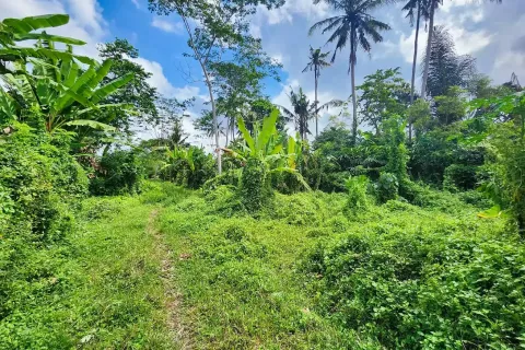 Land in Ubud, Gianyar, Indonesia No. 10852 5