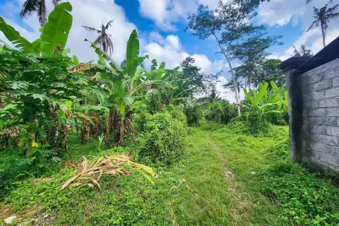 Land in Ubud, Gianyar, Indonesia No. 10852 6