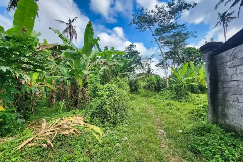 Land in Ubud, Gianyar, Indonesia No. 10852 4