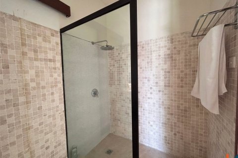 5 bedrooms Villa in Tibubeneng, Badung, Indonesia No. 11485 27