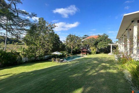 5 bedrooms Villa in Tibubeneng, Badung, Indonesia No. 11485 7