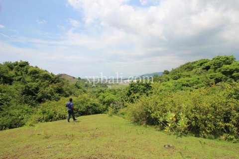 6600m2 Land in Indonesia No. 7823
