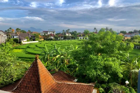 2 bedrooms Villa in Pererenan, Mengwi, Badung, Indonesia No. 10337 3