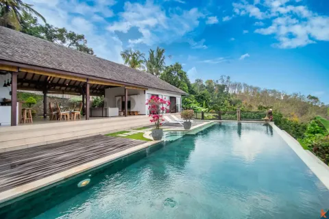 2 bedrooms Villa in Lovina, Anturan, Buleleng, Indonesia No. 10342