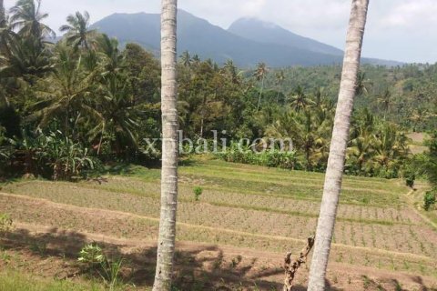 2000m2 Land in Karangasem, Karang Asem, Indonesia No. 347 4