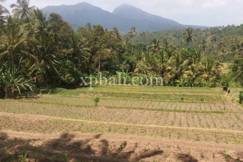 Земельный участок 2000м2 в Karangasem, Карангасем, Индонезия № 347