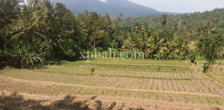 2000m2 Land in Karangasem, Karang Asem, Indonesia No. 347
