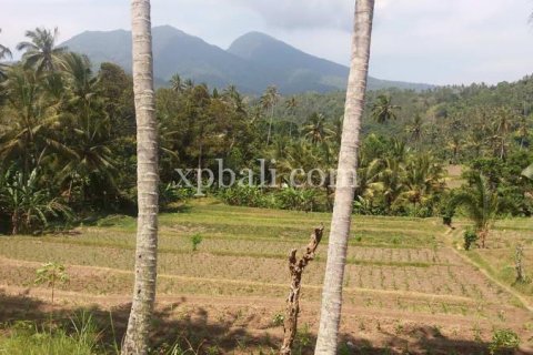 2000m2 Land in Karangasem, Karang Asem, Indonesia No. 347 2