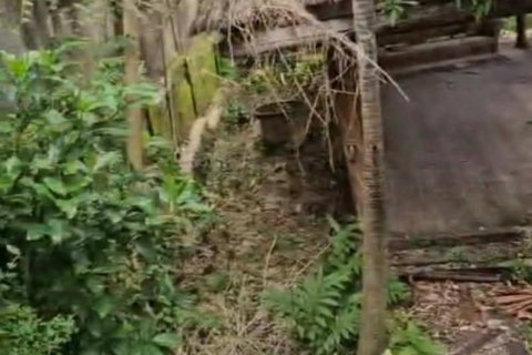 1640m2 Land in Tampaksiring, Gianyar, Indonesia No. 13564 4