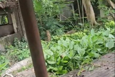 1640m2 Land in Tampaksiring, Gianyar, Indonesia No. 13564 7