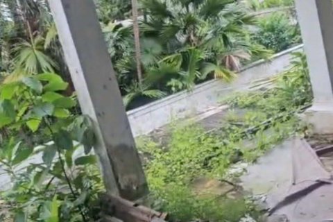 1640m2 Land in Tampaksiring, Gianyar, Indonesia No. 13564 8