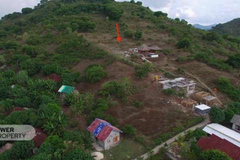500m2 Land in Indonesia No. 13558 17
