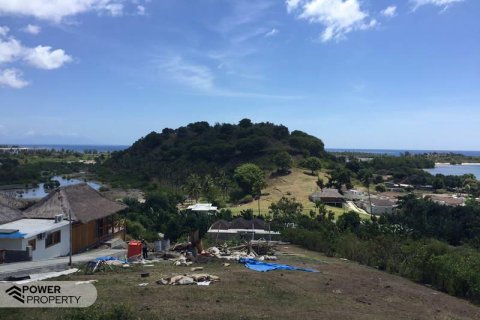 500m2 Land in Indonesia No. 13558 22